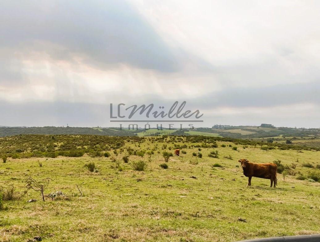 Fazenda à venda, 386m² - Foto 4