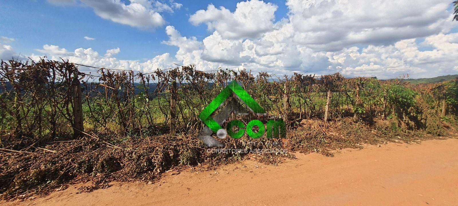 Terreno, 2 hectares - Foto 5