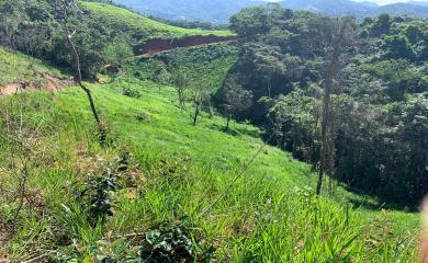 Fazenda à venda com 1 quarto, 210000m² - Foto 4