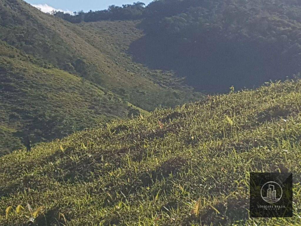 Fazenda à venda, 202000M2 - Foto 5