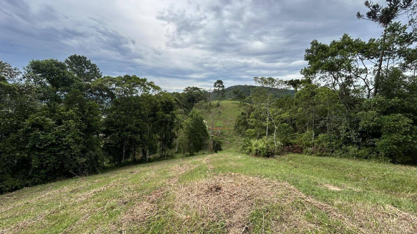 Terreno, 9 hectares - Foto 9