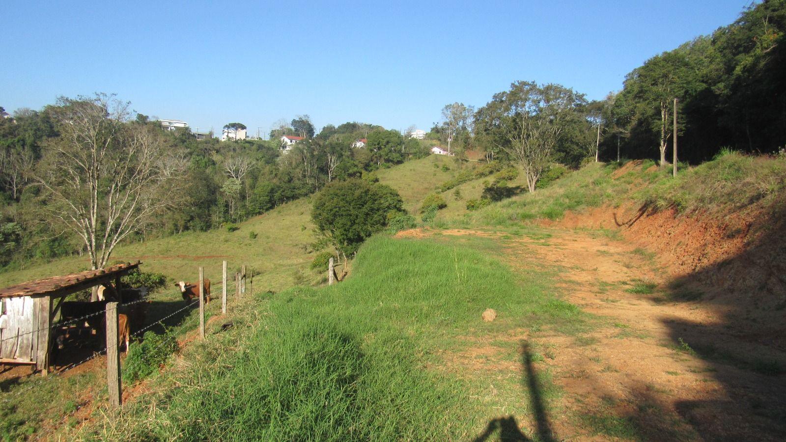 Terreno à venda, 20000m² - Foto 8