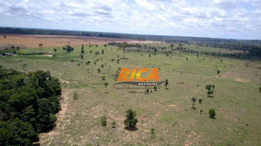 Fazenda à venda com 4 quartos, 1400000M2 - Foto 14