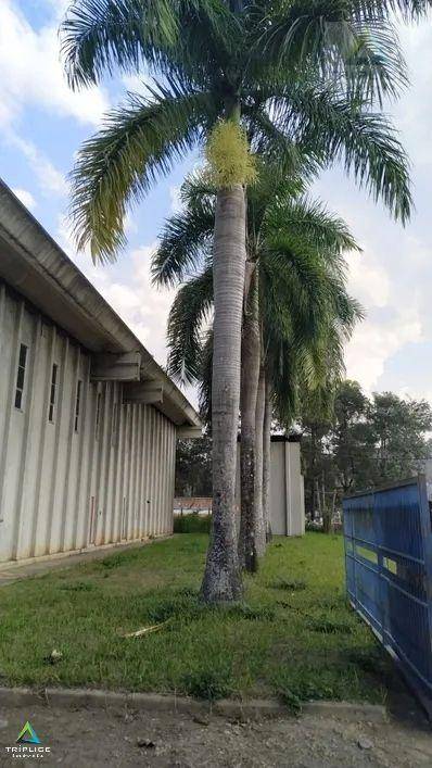 Depósito-Galpão, 4000 m² - Foto 4