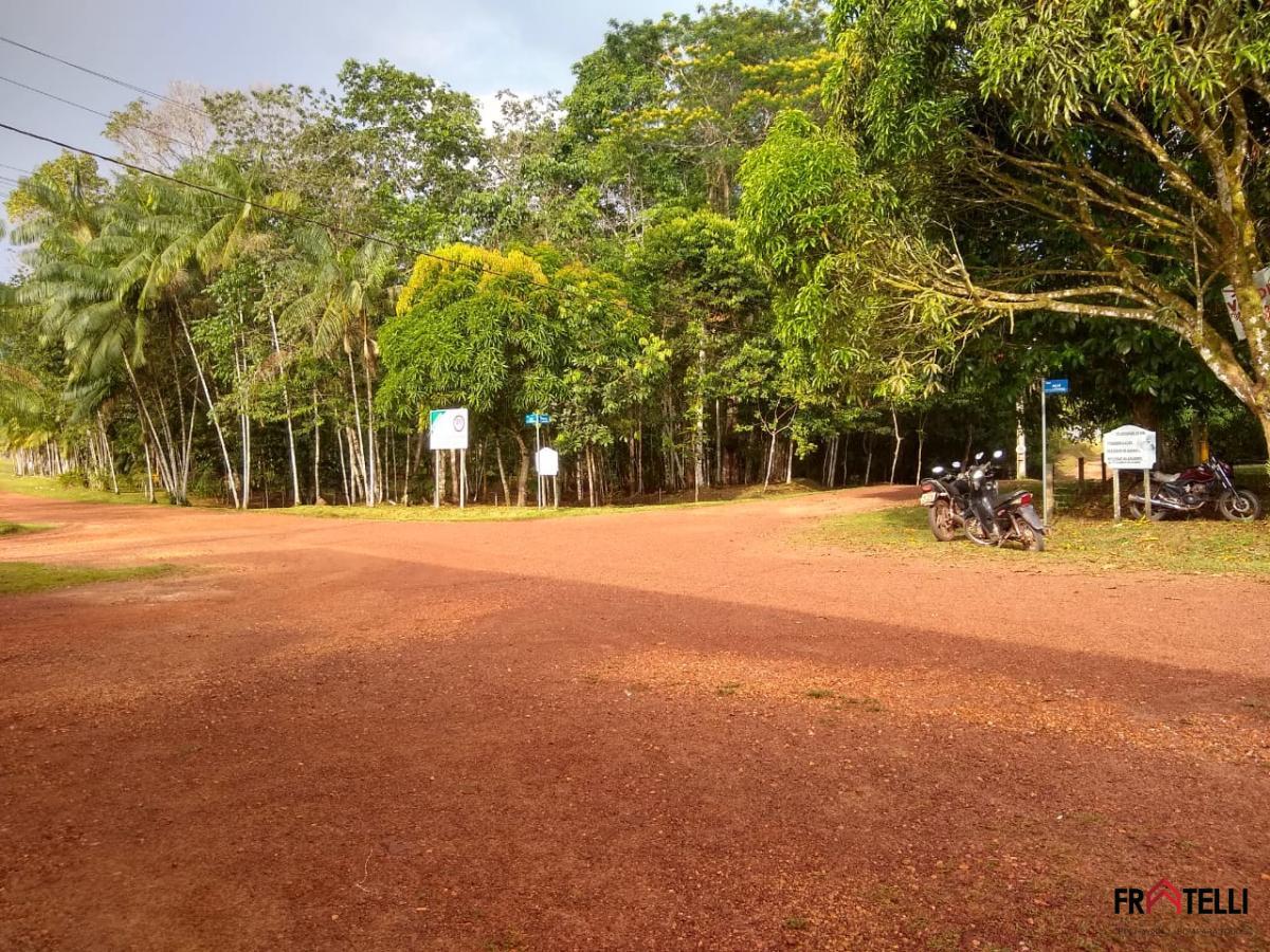 Terreno à venda - Foto 6