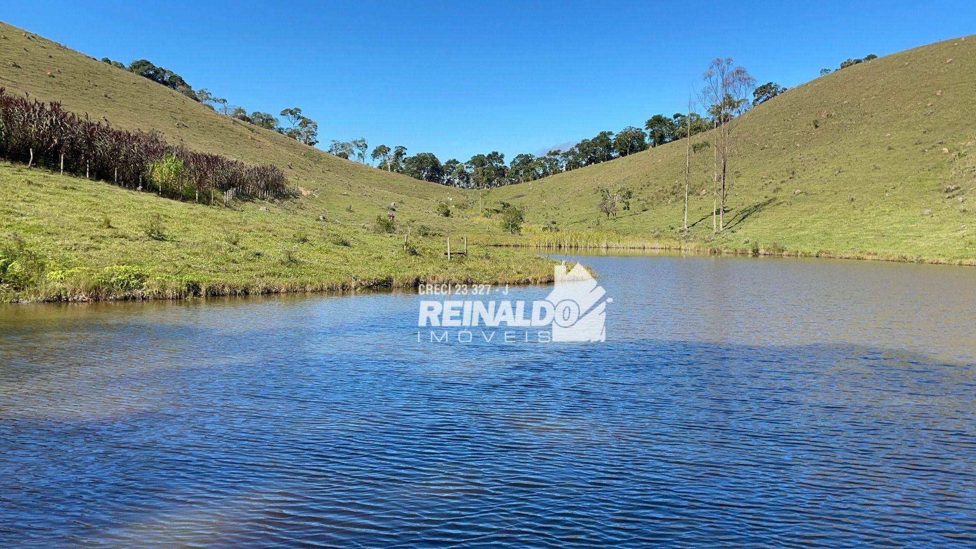 Fazenda à venda com 8 quartos, 900m² - Foto 7