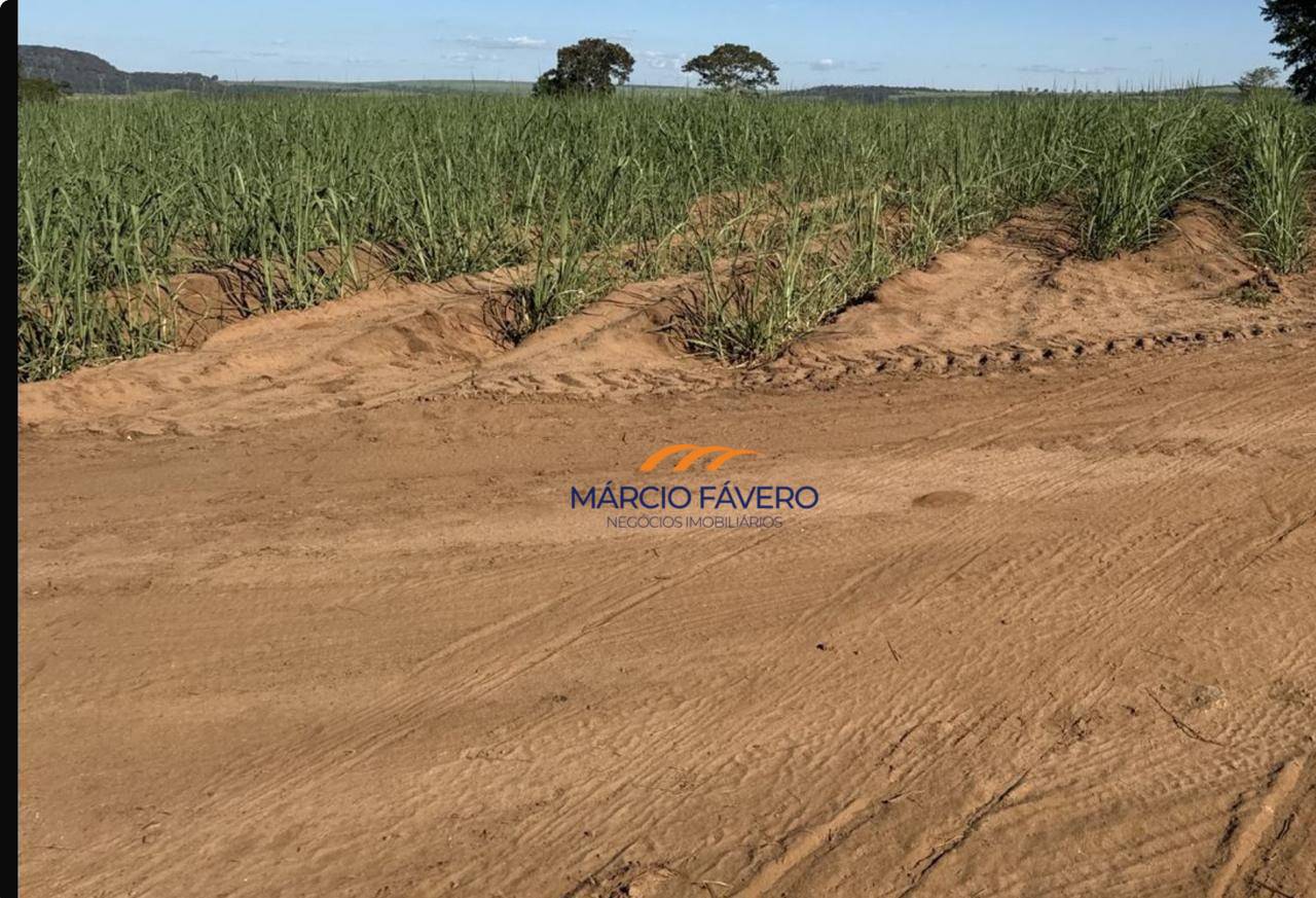 Fazenda, 605 hectares - Foto 4