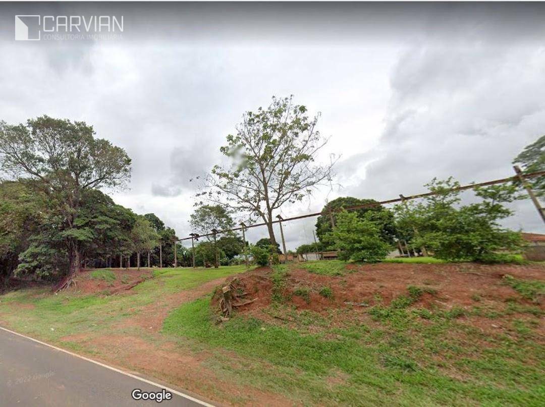 Chácara à venda com 3 quartos, 10900m² - Foto 4