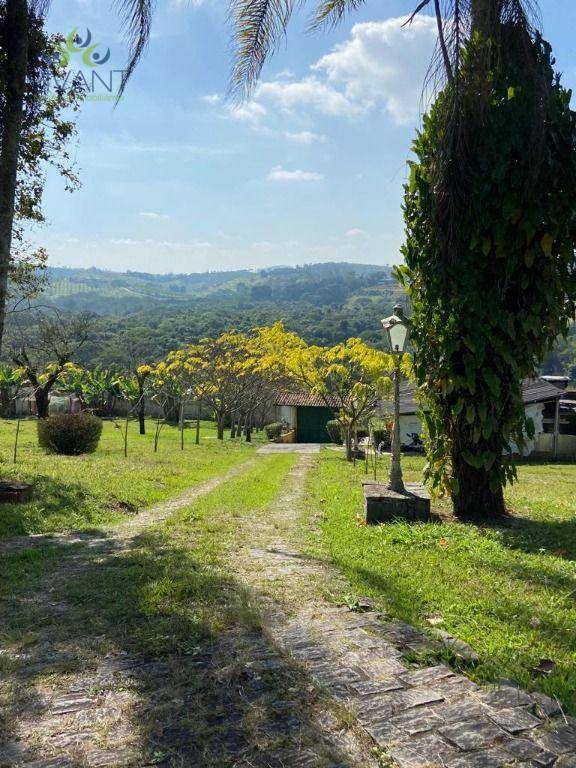 Chácara à venda com 4 quartos, 6500M2 - Foto 59