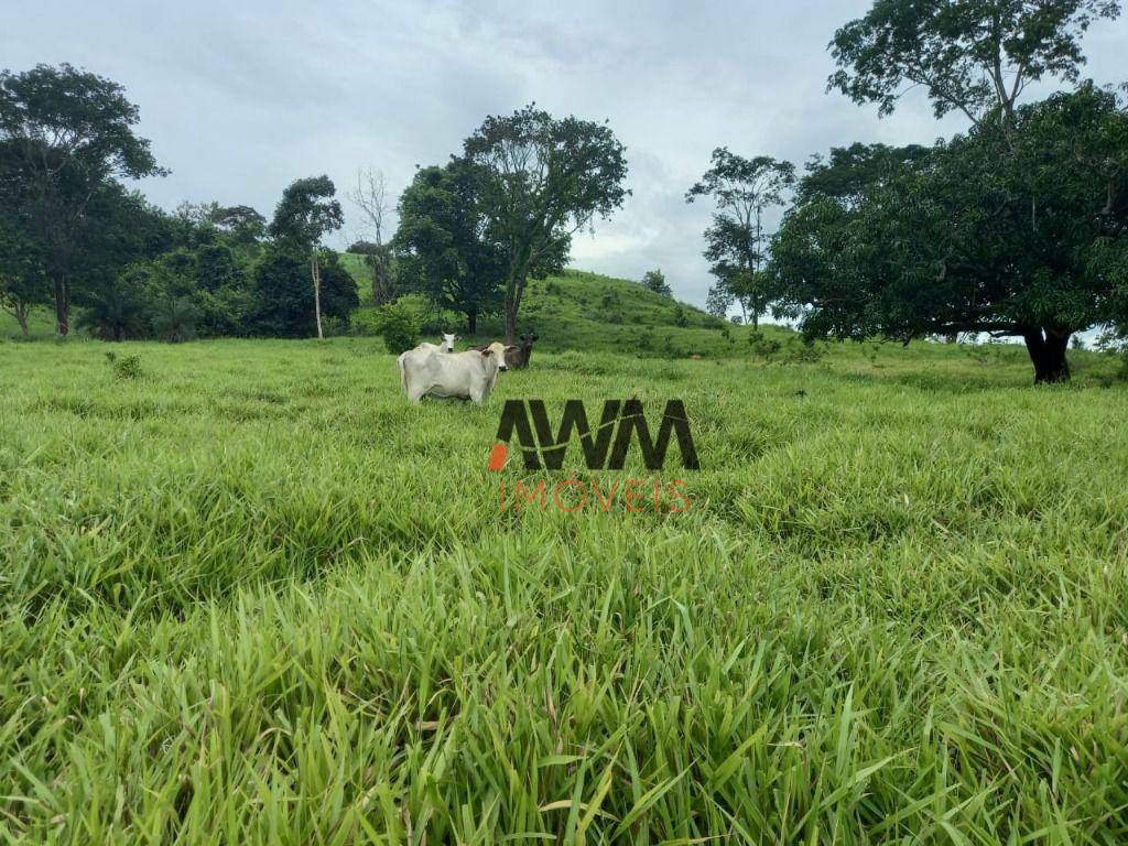 Fazenda à venda, 1694000M2 - Foto 23