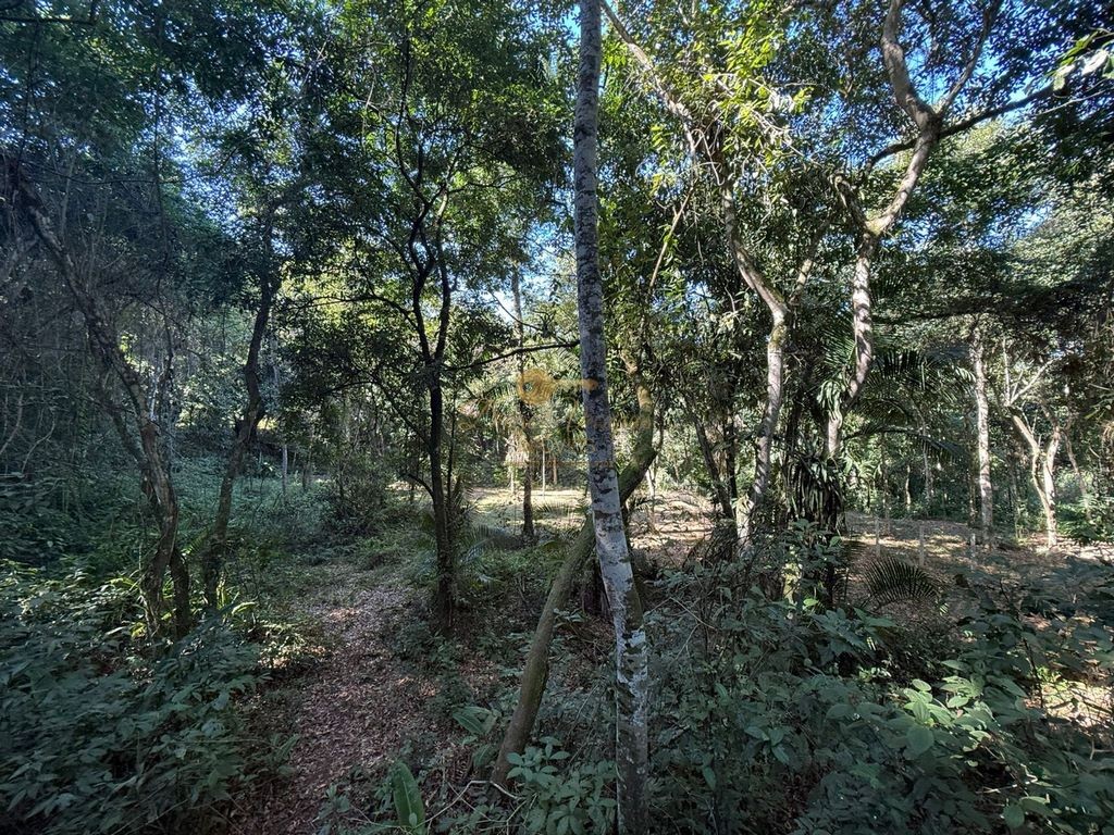 Sítio à venda, 124000m² - Foto 11