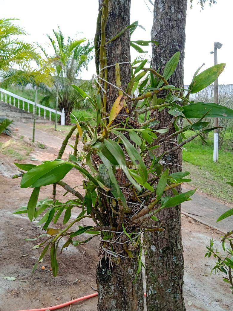 Chácara à venda com 4 quartos, 1200m² - Foto 97