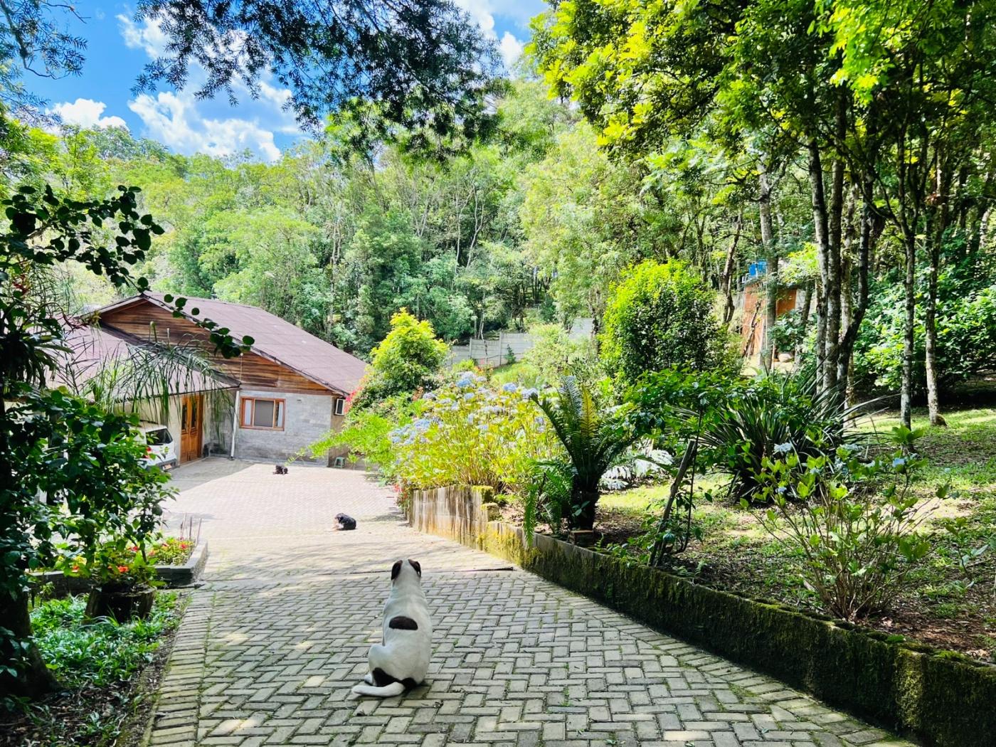 Fazenda à venda, 5050m² - Foto 3