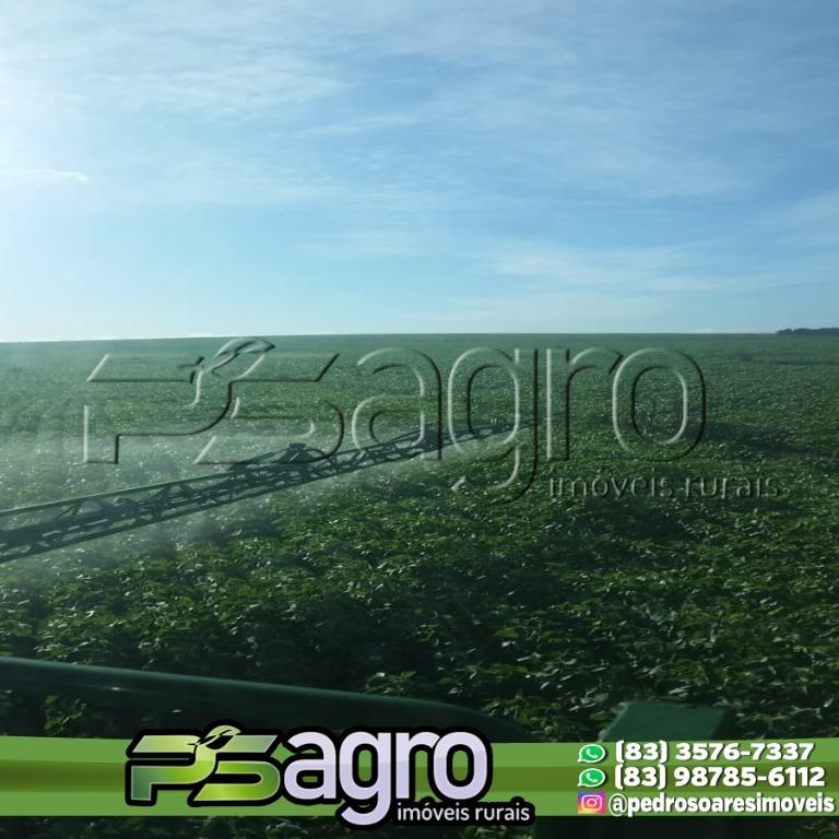 Fazenda-Sítio-Chácara, 7982 hectares - Foto 2