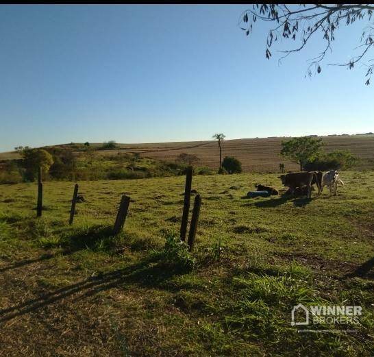 Terreno à venda, 20000M2 - Foto 3