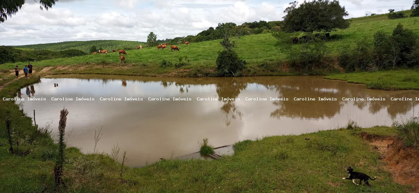 Sítio à venda com 2 quartos, 220000m² - Foto 4