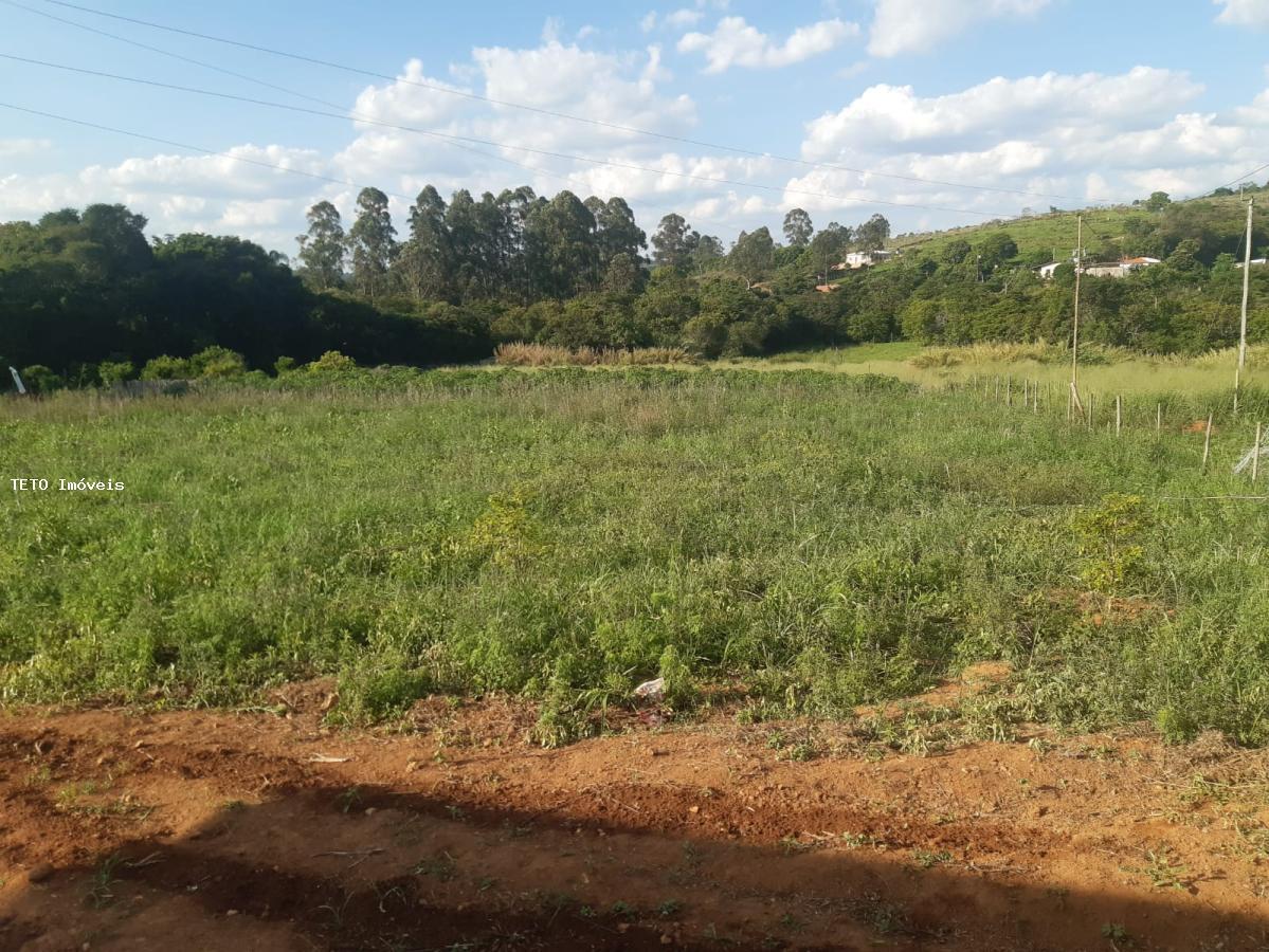 Fazenda à venda com 2 quartos, 10000m² - Foto 29