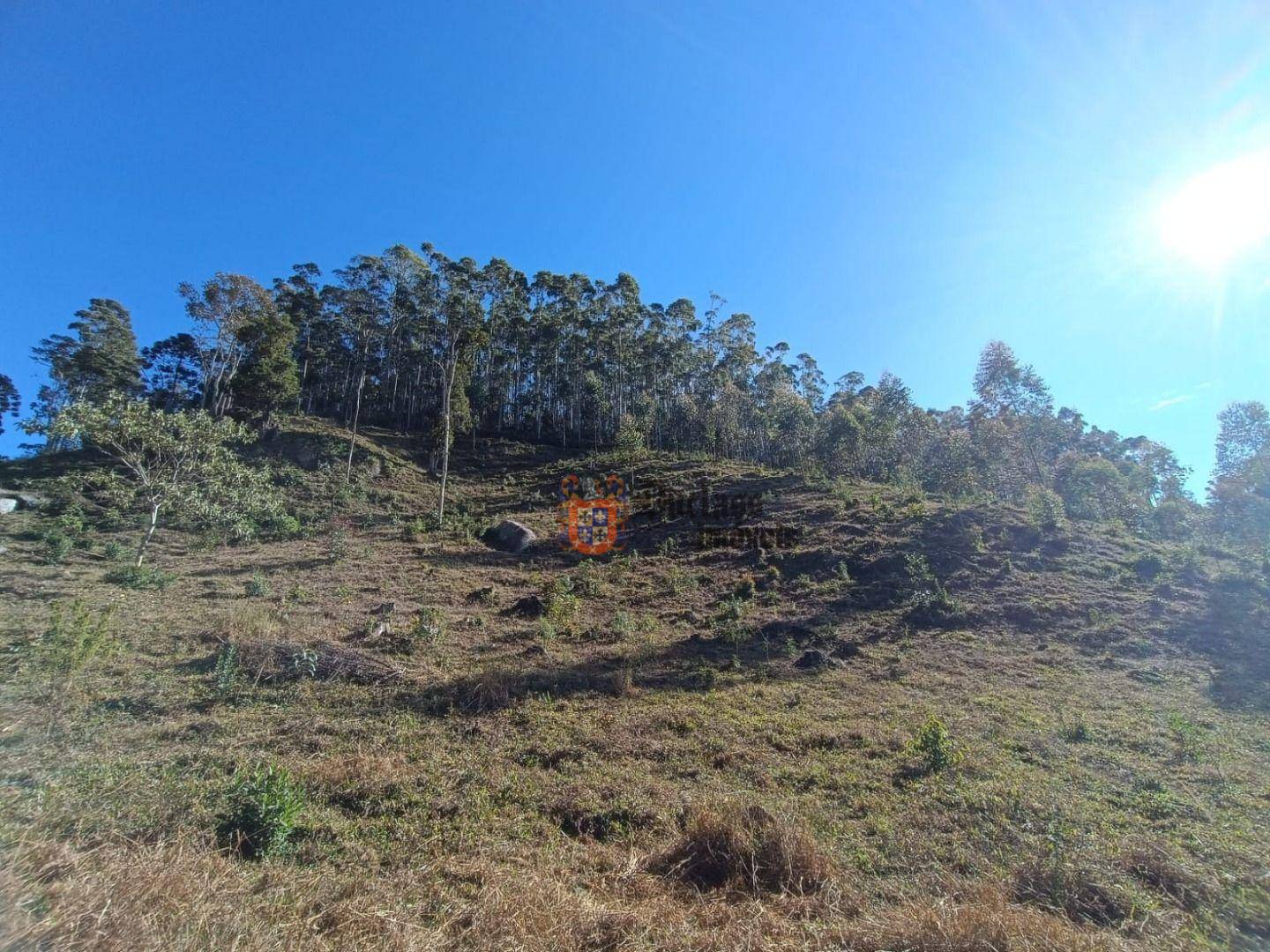 Terreno, 15 hectares - Foto 8