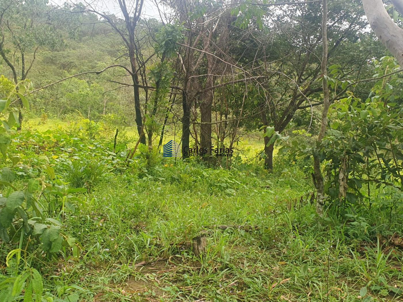 Fazenda à venda com 4 quartos, 300m² - Foto 32