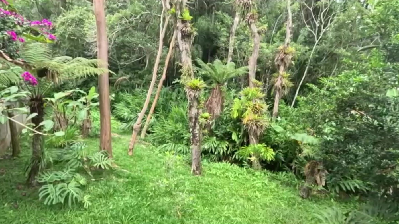 Casa de Condomínio à venda com 3 quartos, 1500m² - Foto 46