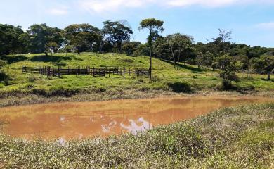 Sítio à venda com 2 quartos, 210000m² - Foto 6