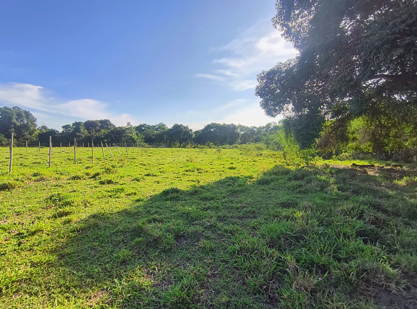 Terreno à venda, 2350m² - Foto 2