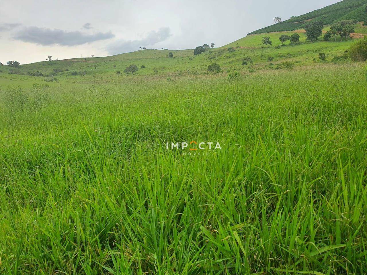 Fazenda-Sítio-Chácara, 494 hectares - Foto 5