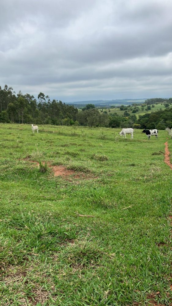 Fazenda à venda, 60500m² - Foto 1