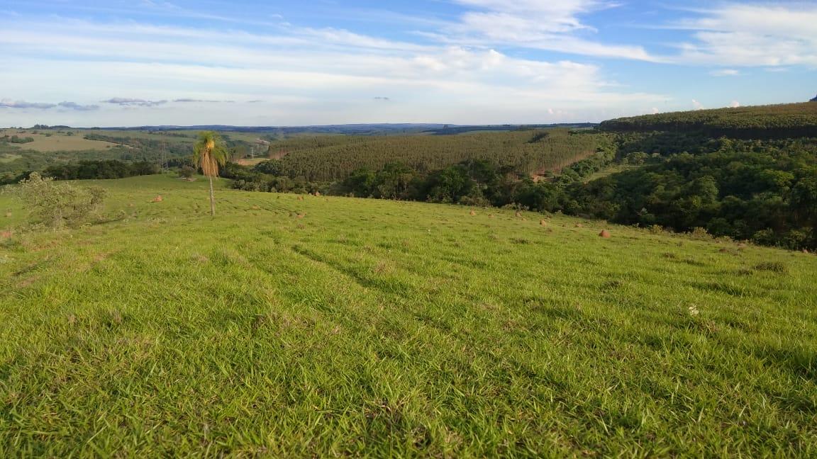 Fazenda à venda - Foto 8