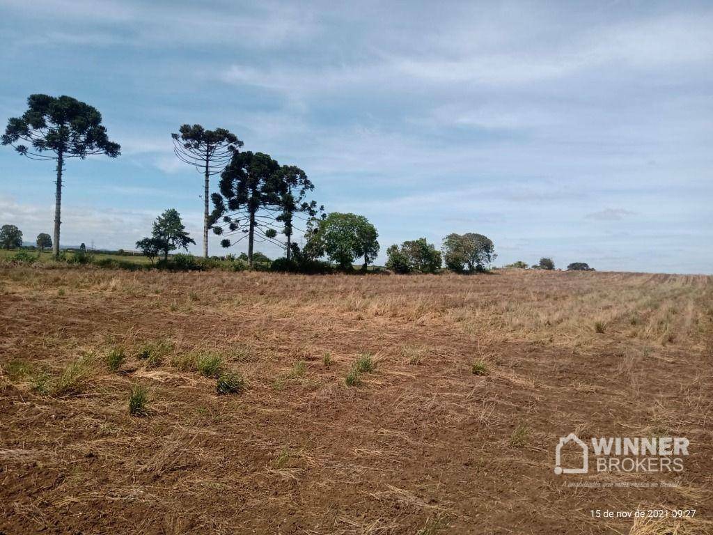 Terreno à venda, 41125M2 - Foto 8