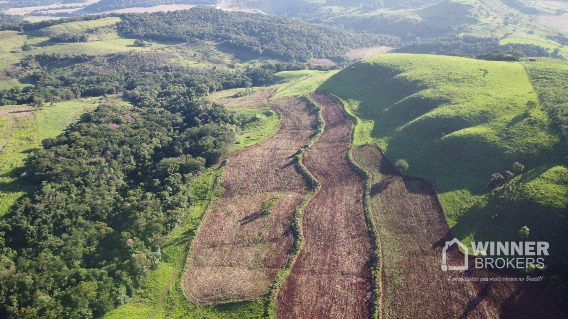 Fazenda à venda com 6 quartos, 600m² - Foto 3