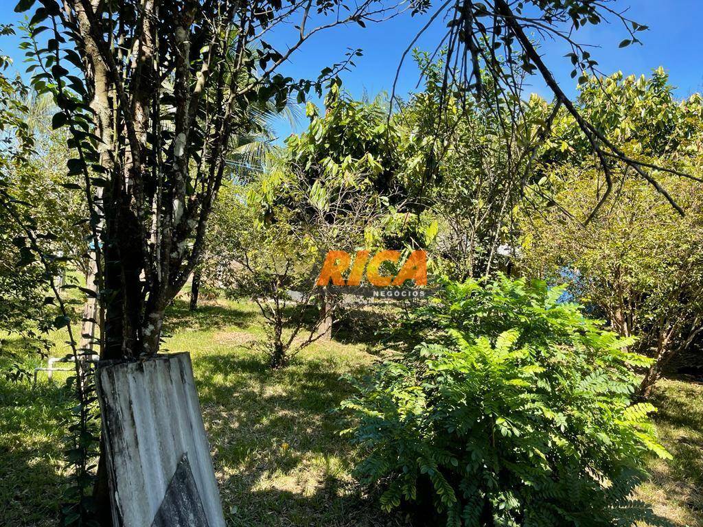 Chácara, 3 quartos, 2 hectares - Foto 19