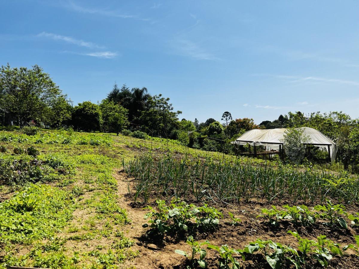 Fazenda à venda, 6300m² - Foto 23