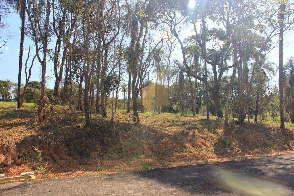 Loteamento e Condomínio à venda, 1000M2 - Foto 12