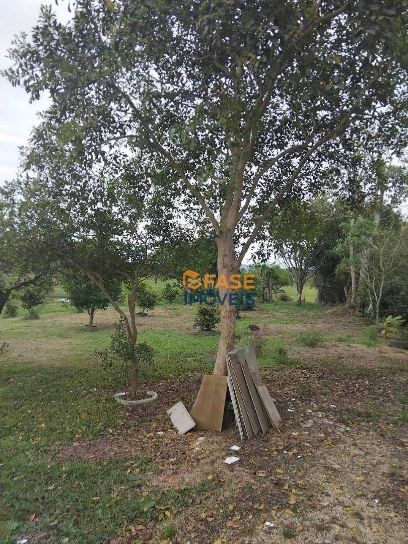 Sítio, 2 quartos, 2 hectares - Foto 4