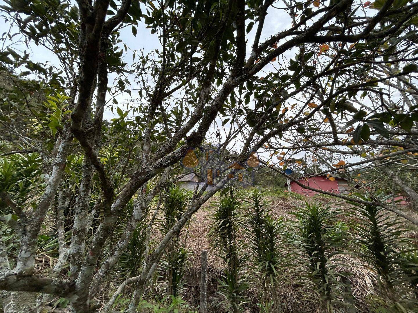Chácara à venda com 1 quarto, 70m² - Foto 23