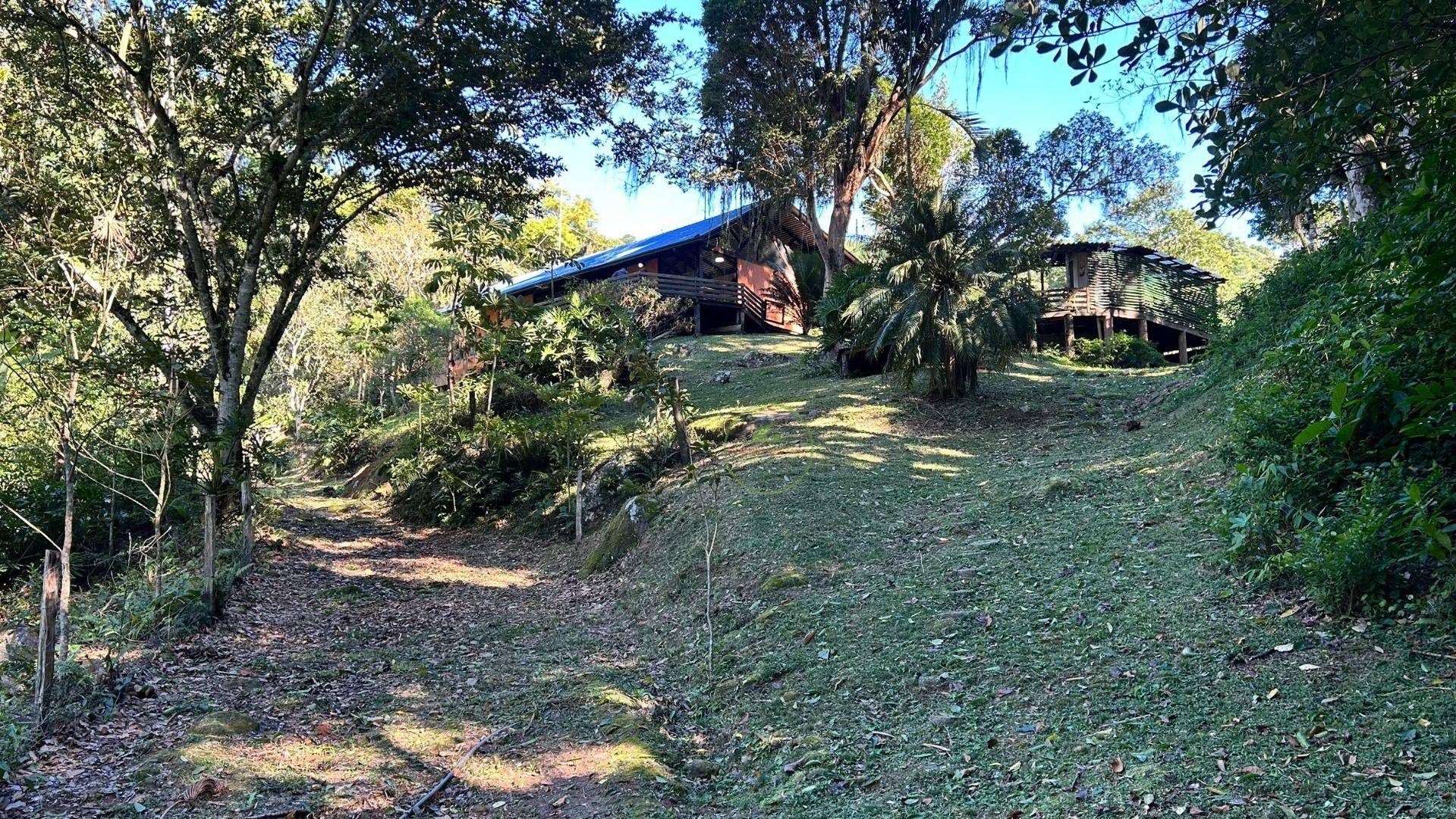 Sítio, 14 hectares - Foto 12