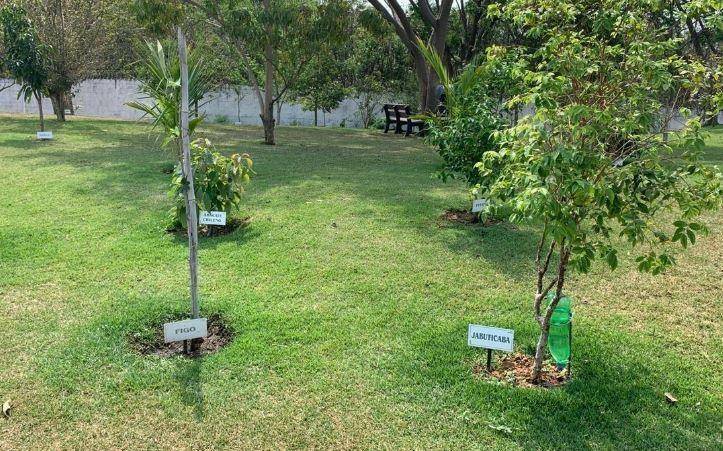 Casa de Condomínio à venda com 3 quartos, 235m² - Foto 49
