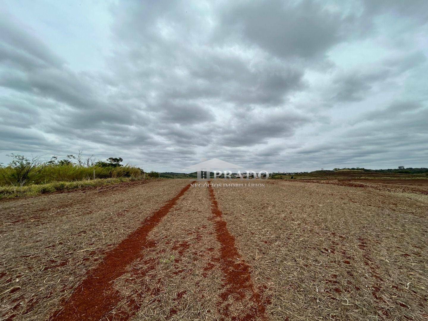 Terreno à venda, 96800M2 - Foto 14