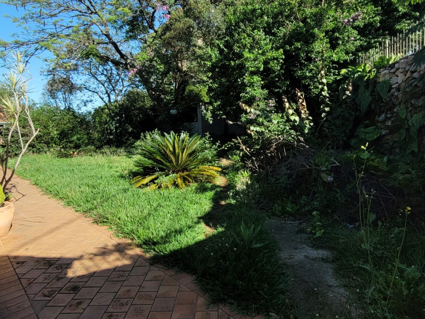 Casa à venda com 4 quartos, 2000m² - Foto 38