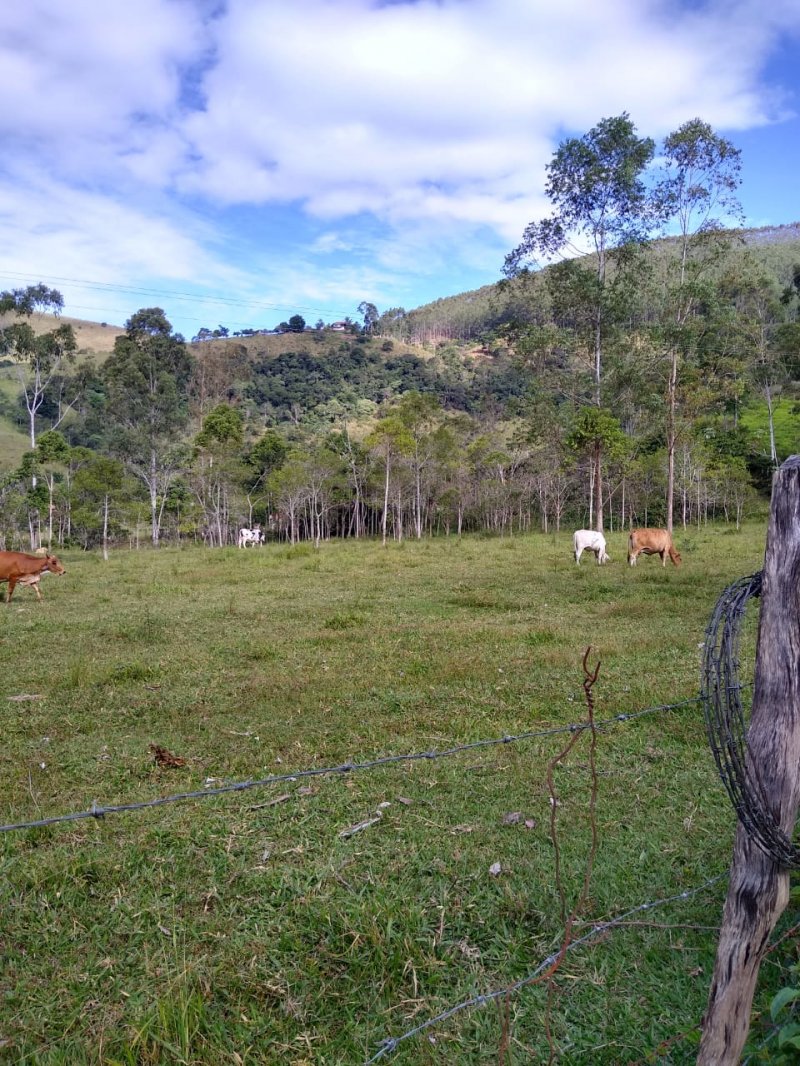 Fazenda à venda com 2 quartos, 120m² - Foto 1