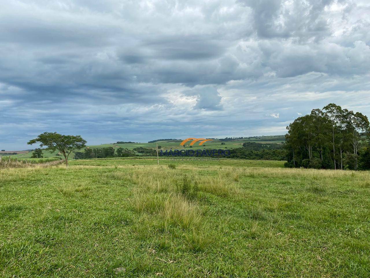 Sítio à venda, 242000M2 - Foto 32