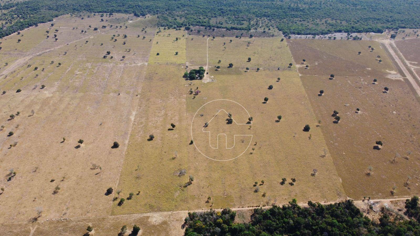 Fazenda à venda, 1000000M2 - Foto 7