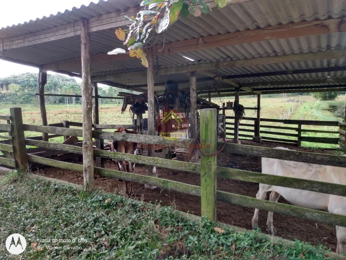 Fazenda à venda, 7m² - Foto 6