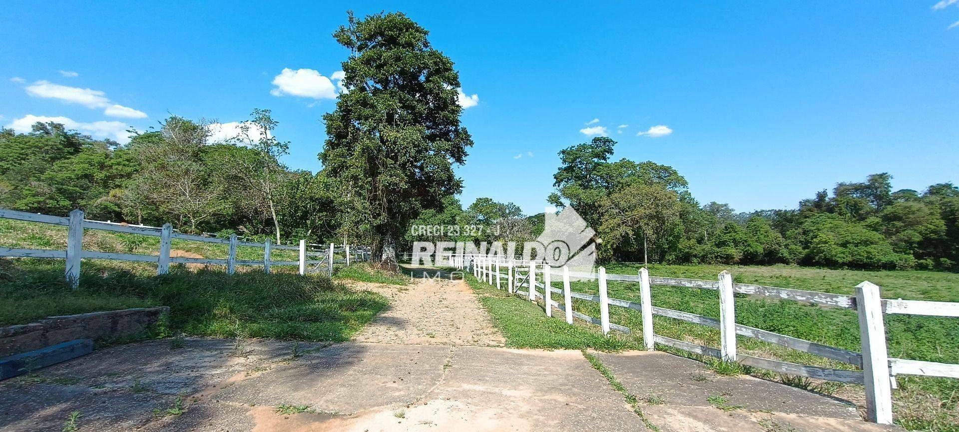 Haras e Área Rural Padrão à venda com 16 quartos, 2500m² - Foto 167