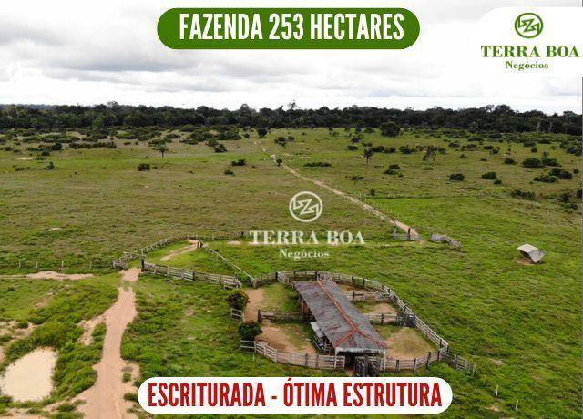 Fazenda-Sítio-Chácara, 253 hectares - Foto 1