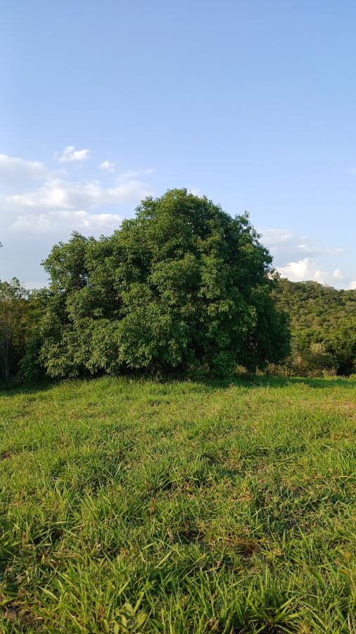 Fazenda à venda com 3 quartos, 62381m² - Foto 5