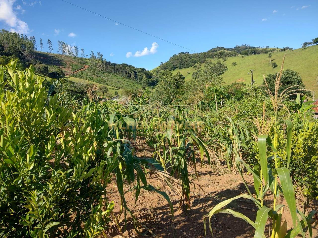 Chácara à venda, 5000m² - Foto 4