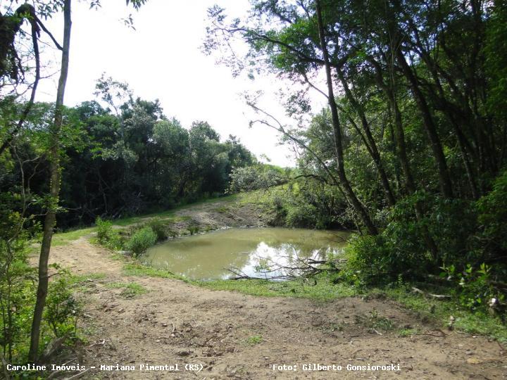 Fazenda à venda com 3 quartos, 160000m² - Foto 25