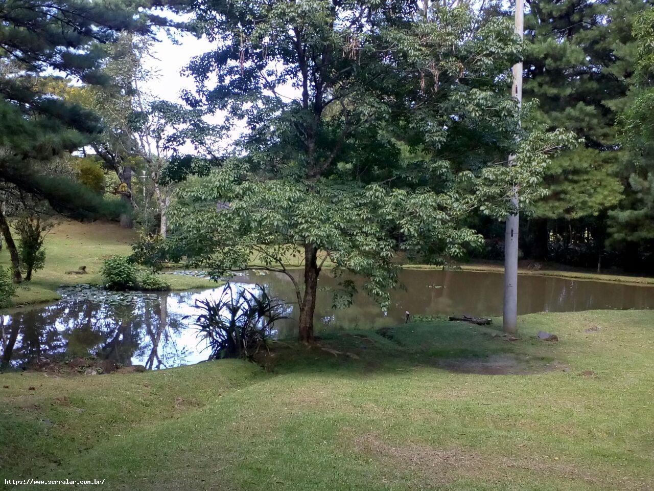 Fazenda à venda com 4 quartos, 15000m² - Foto 29